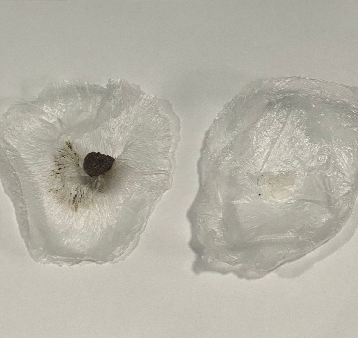 Cəzaçəkmə müəssisəsinə narkotik və psixotrop maddələrin keçirilməsinin qarşısı alınıb