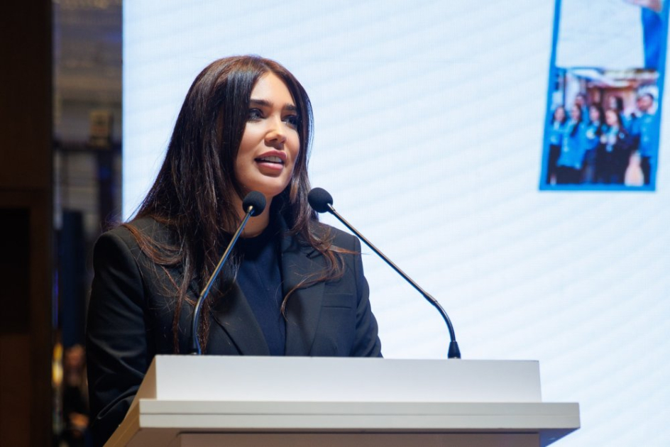 MEDİA könüllülərinin II şəbəkələşmə görüşü keçirilib (FOTO)