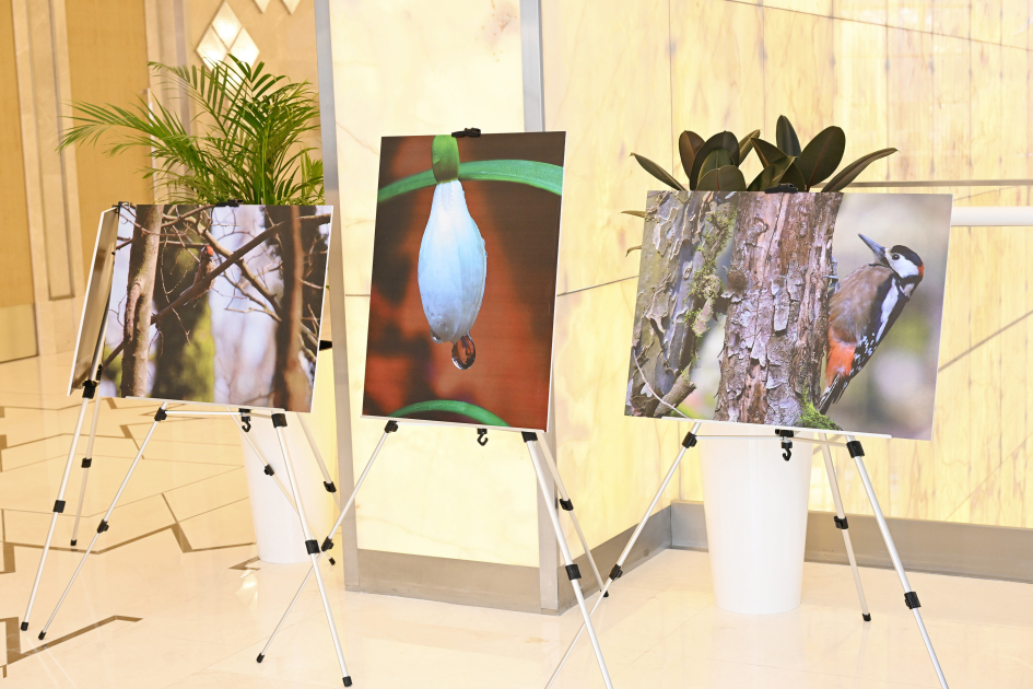 Leyla Əliyeva “Hirkan” sənədli filminin təqdimatında iştirak edib (FOTO)