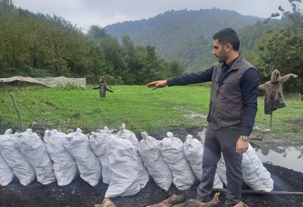 2025-ci ildə qanunsuz kömür istehsalı ilə bağlı 66 min manat cərimə tətbiq olunub (FOTO)