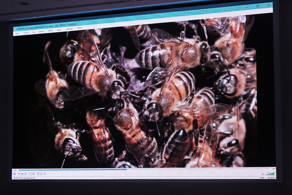 Leyla Əliyeva “Hirkan” sənədli filminin təqdimatında iştirak edib (FOTO)