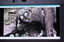 Leyla Əliyeva “Hirkan” sənədli filminin təqdimatında iştirak edib (FOTO)