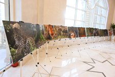 Leyla Əliyeva “Hirkan” sənədli filminin təqdimatında iştirak edib (FOTO)