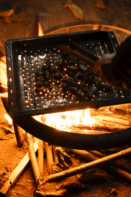 Heydər Əliyev Fondunun vitse-prezidenti Leyla Əliyeva Qəbələdə “Gənc arıçı” layihəsinin iştirakçısı ilə görüşüb (FOTO)