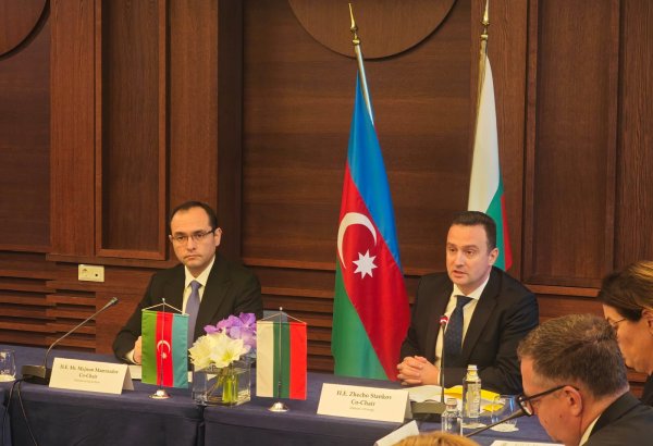 Bolqarıstan enerji ilə yanaşı başqa istiqamətlərdə də Azərbaycanla yeni əməkdaşlıq imkanları görür - Nazir
