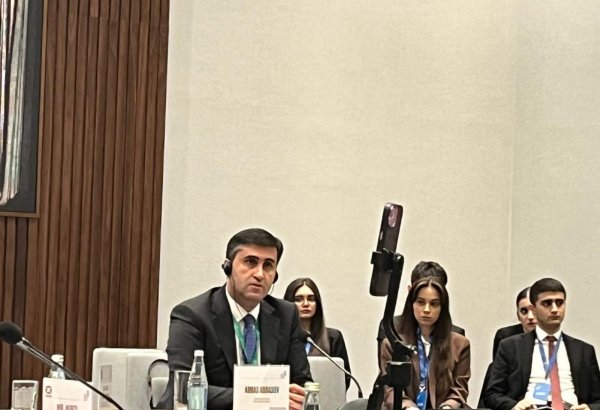 Belçika müstəmləkəçiliyi ilə bağlı baş vermiş faciələr dünya ictimaiyyətinə məlumdur - Abbas Abbasov