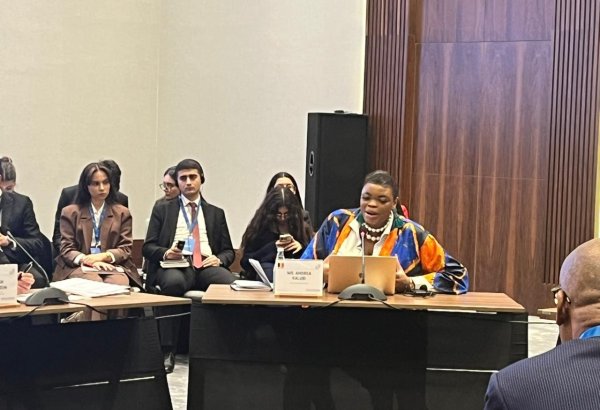 Belçikanın Konqoda rezin istismarı zamanı əldə etdiyi gəlirlər cəmiyyətə sosial zərbə olub - Siyasi xadim