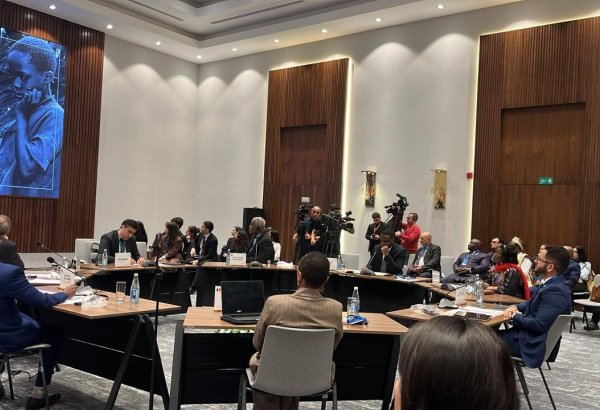 Bakıda “Belçika Müstəmləkəçiliyi: Tanınma və Məsuliyyət” adlı beynəlxalq konfrans keçirilib (FOTO) (YENİLƏNİB)