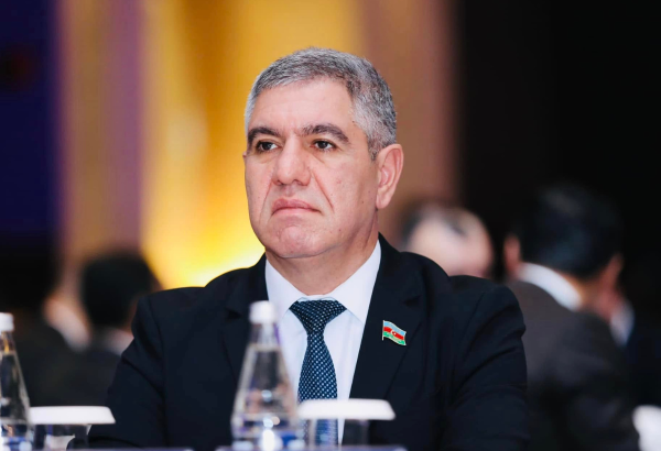 Milli Məclisin deputatı ABŞ-də Azərbaycandakı sosial islahatlar barədə məruzə edəcək