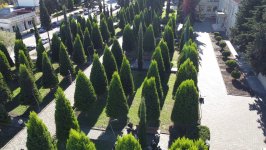 Xaçmaz şəhərində Mədəniyyət və istirahət parkı əsaslı təmir olunub (FOTO)