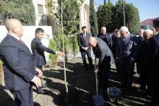 Xaçmaz şəhərində Mədəniyyət və istirahət parkı əsaslı təmir olunub (FOTO)