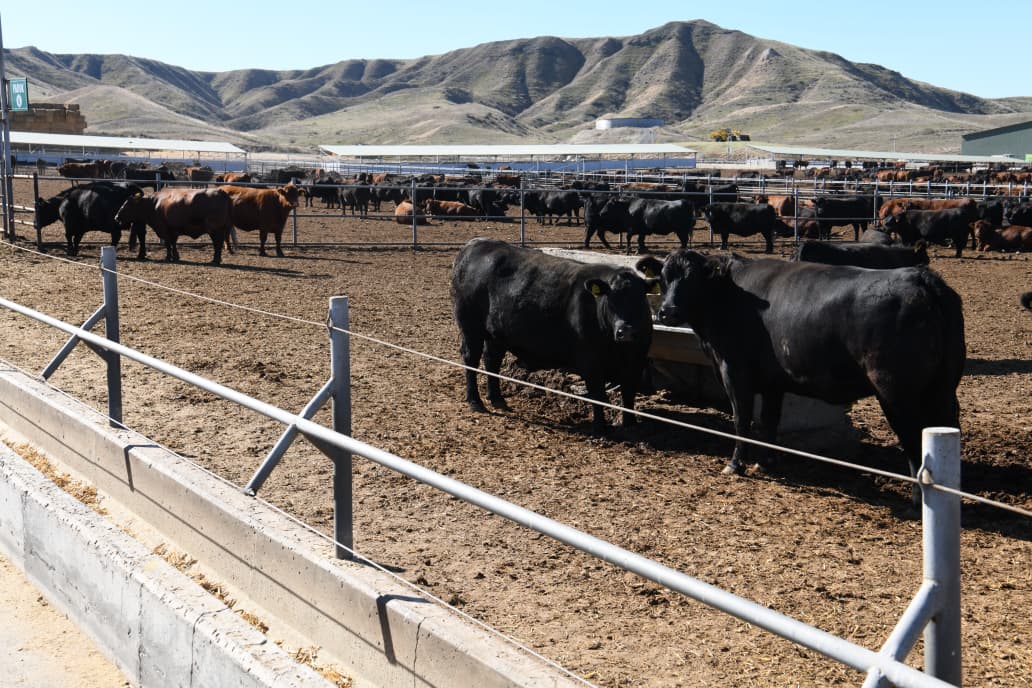 Azərbaycanda akkreditə olunmuş səfirliklərin, beynəlxalq təşkilatların rəhbər şəxsləri Həkəri dəmir yolu stansiyasına baxış keçiriblər (FOTO/VİDEO)