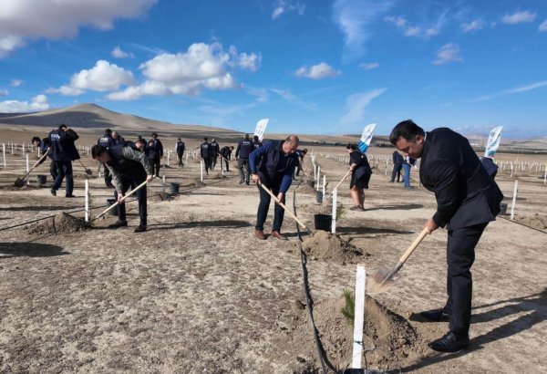 FHN Zəfər Gününə həsr olunmuş ağacəkmə aksiyası keçirib (FOTO)