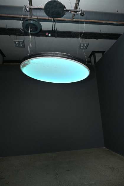 “Art Weekend” festivalı çərçivəsində Daş Salnamə Muzeyində sərgilər açılıb (FOTO)