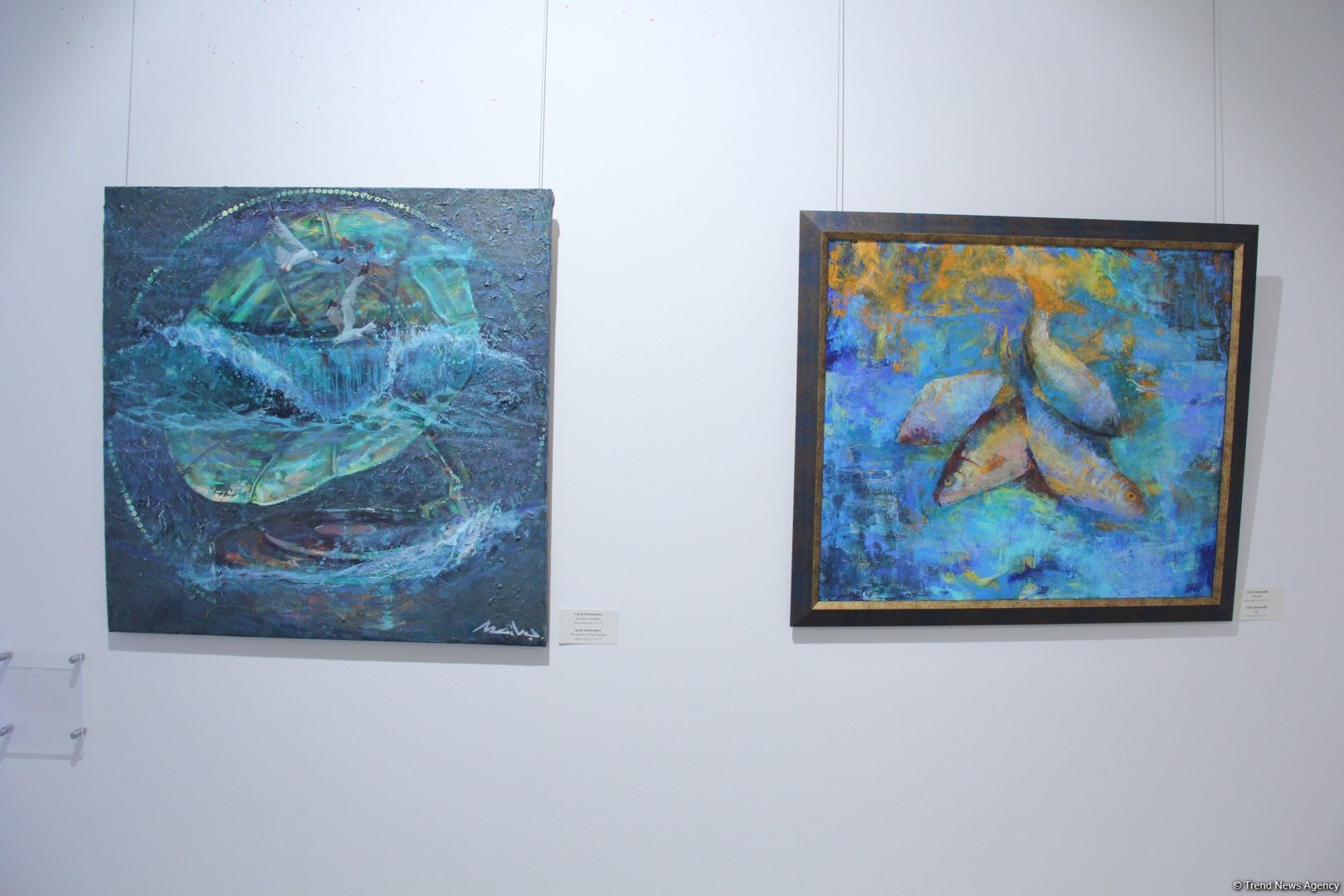 “Bakıya Uçuş. İncəsənət Həftəsonu. Gələcəyi İNDİ Duy” layihəsi çərçivəsində “Mən Suyam” adlı incəsənət sərgisi açılıb (FOTO)