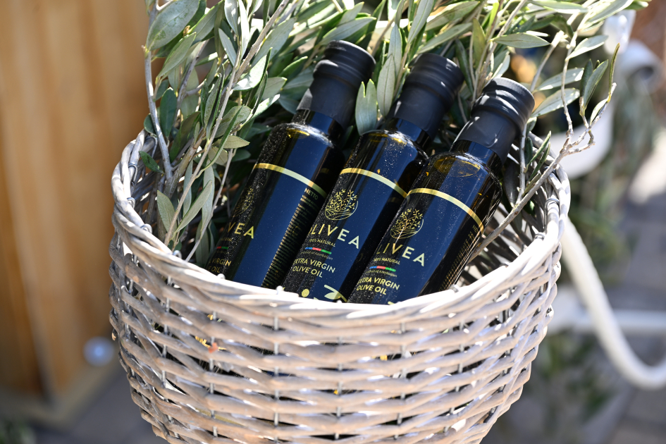 İçərişəhərdə Zeytun Festivalı davam edir (FOTO)