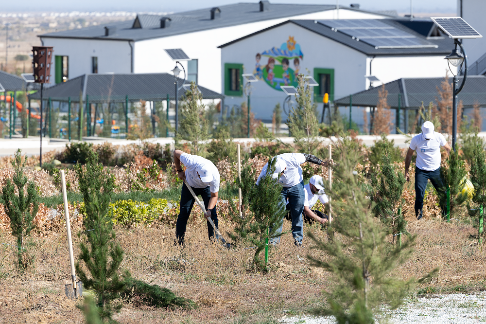 “AzInTelecom” Ağdamda ağacəkmə aksiyası keçirib (FOTO)