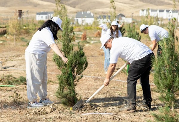 “AzInTelecom” Ağdamda ağacəkmə aksiyası keçirib (FOTO)