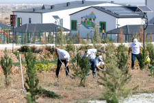 “AzInTelecom” Ağdamda ağacəkmə aksiyası keçirib (FOTO)