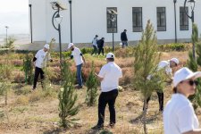 “AzInTelecom” Ağdamda ağacəkmə aksiyası keçirib (FOTO)
