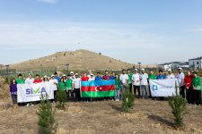 “AzInTelecom” Ağdamda ağacəkmə aksiyası keçirib (FOTO)