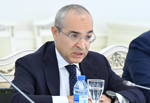 İqtisadiyyat naziri vergi inzibatçılığı və leqallaşma ilə bağlı təkliflərdən danışıb