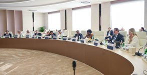 Energetika nazirinin müavini ADIPEC 2025 tədbirində iştirak edib (FOTO)