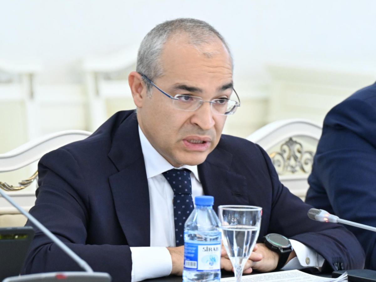 İqtisadiyyat naziri vergi inzibatçılığı və leqallaşma ilə bağlı təkliflərdən danışıb