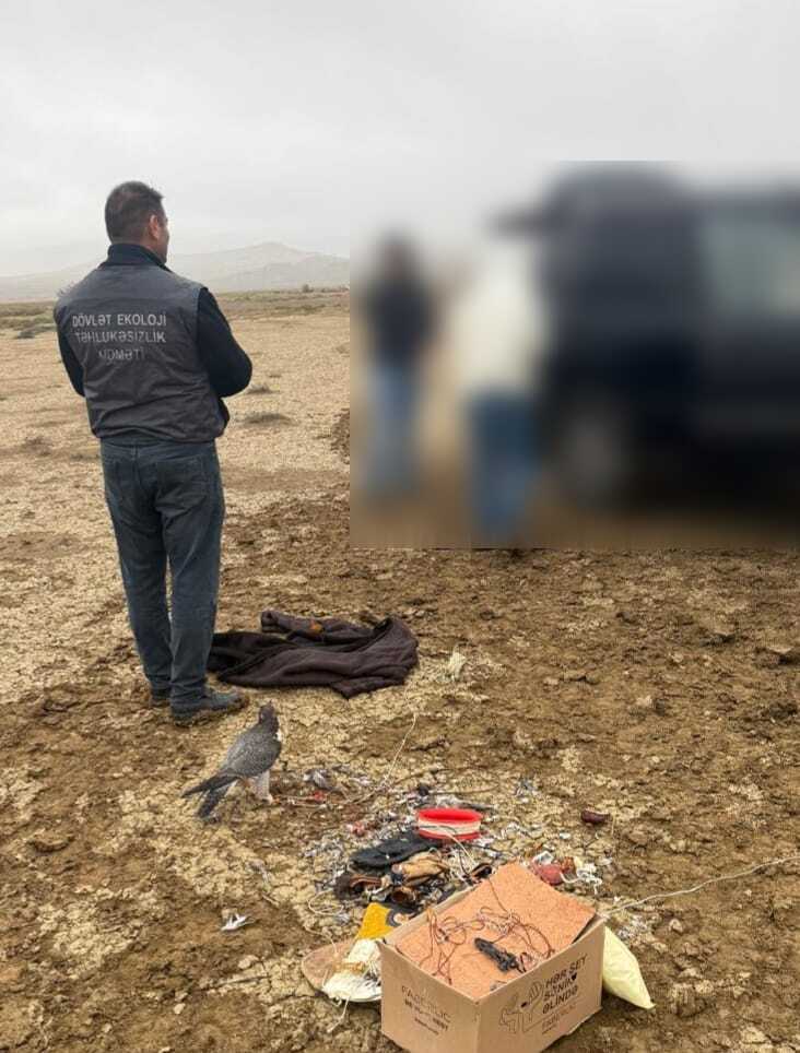 Ov qaydalarını pozan Suriya və Qətər vətəndaşları cərimələndi