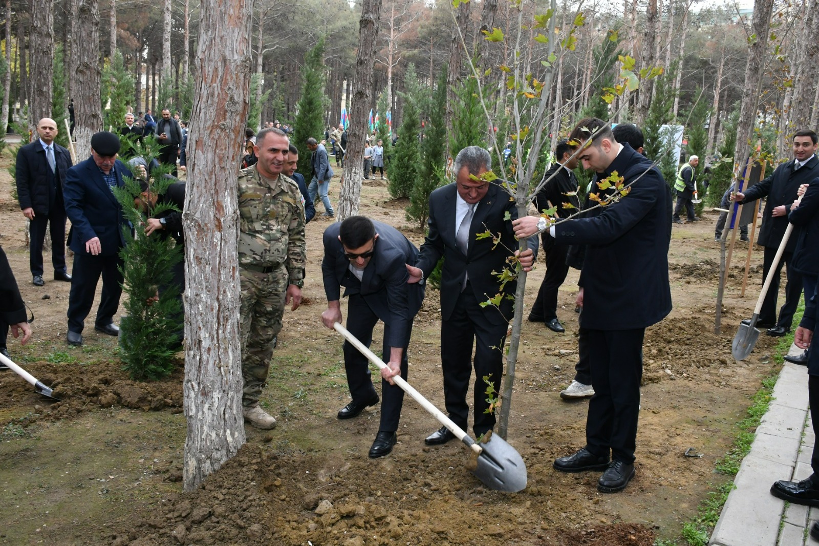 Abşeronda Zəfər Günü ilə əlaqədar ağacəkmə aksiyası keçirilib (FOTO)