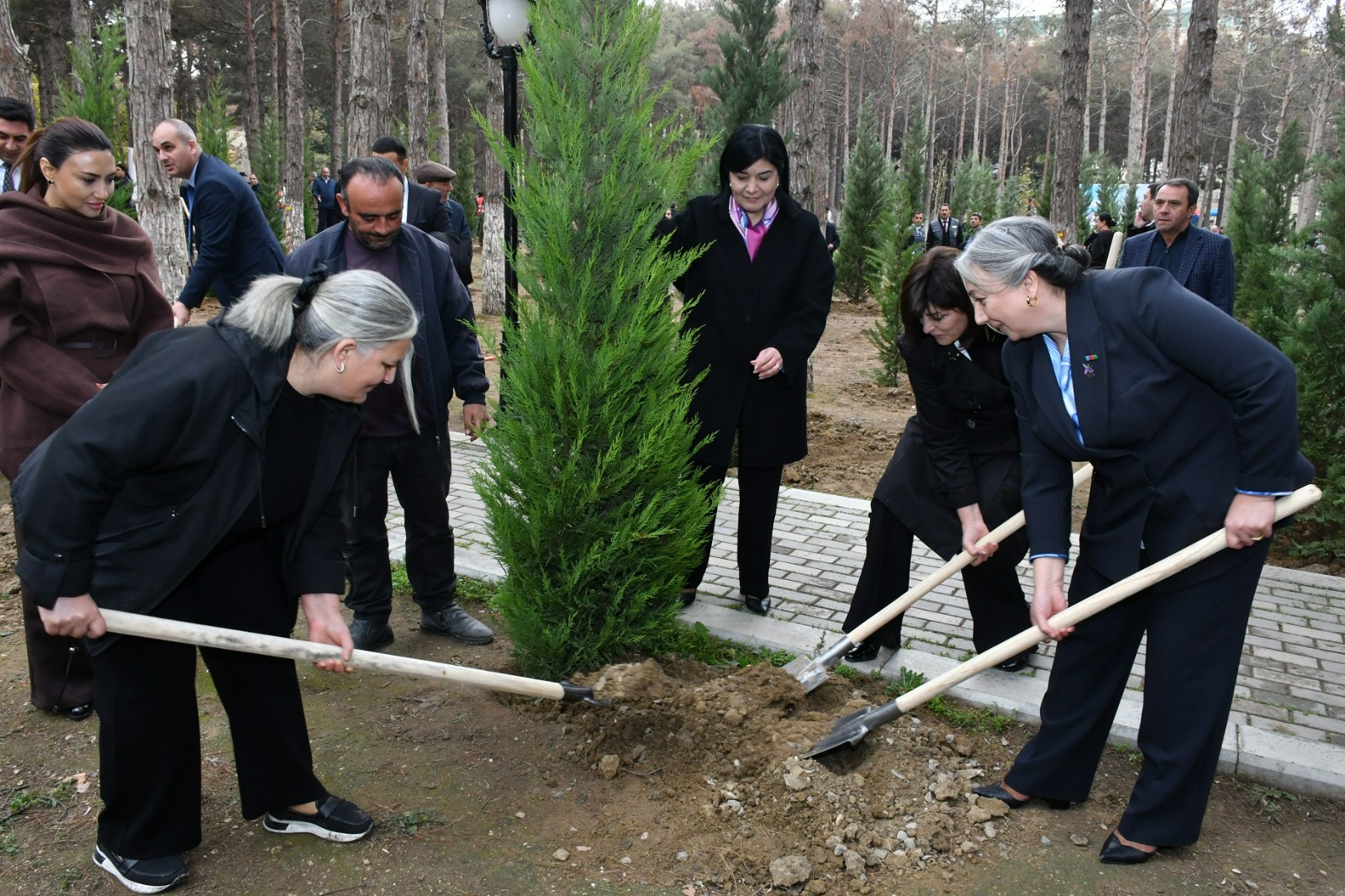 Abşeronda Zəfər Günü ilə əlaqədar ağacəkmə aksiyası keçirilib (FOTO)