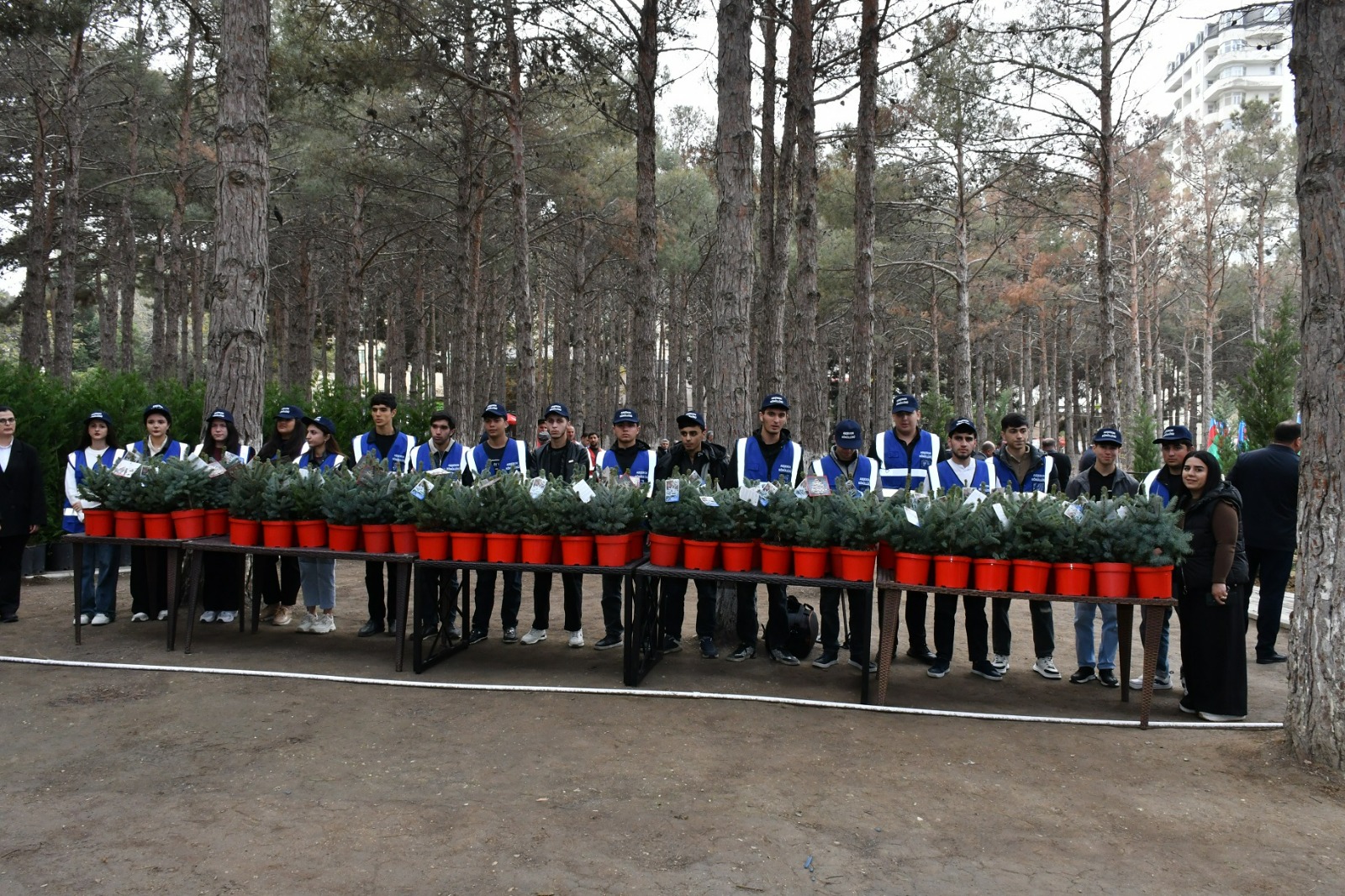 Abşeronda Zəfər Günü ilə əlaqədar ağacəkmə aksiyası keçirilib (FOTO)