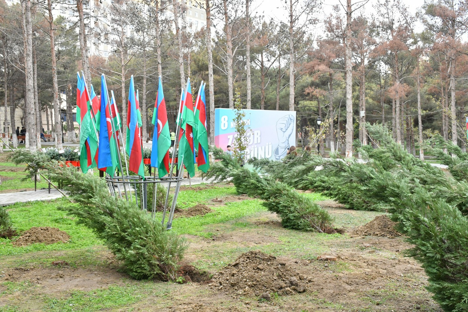 Abşeronda Zəfər Günü ilə əlaqədar ağacəkmə aksiyası keçirilib (FOTO)