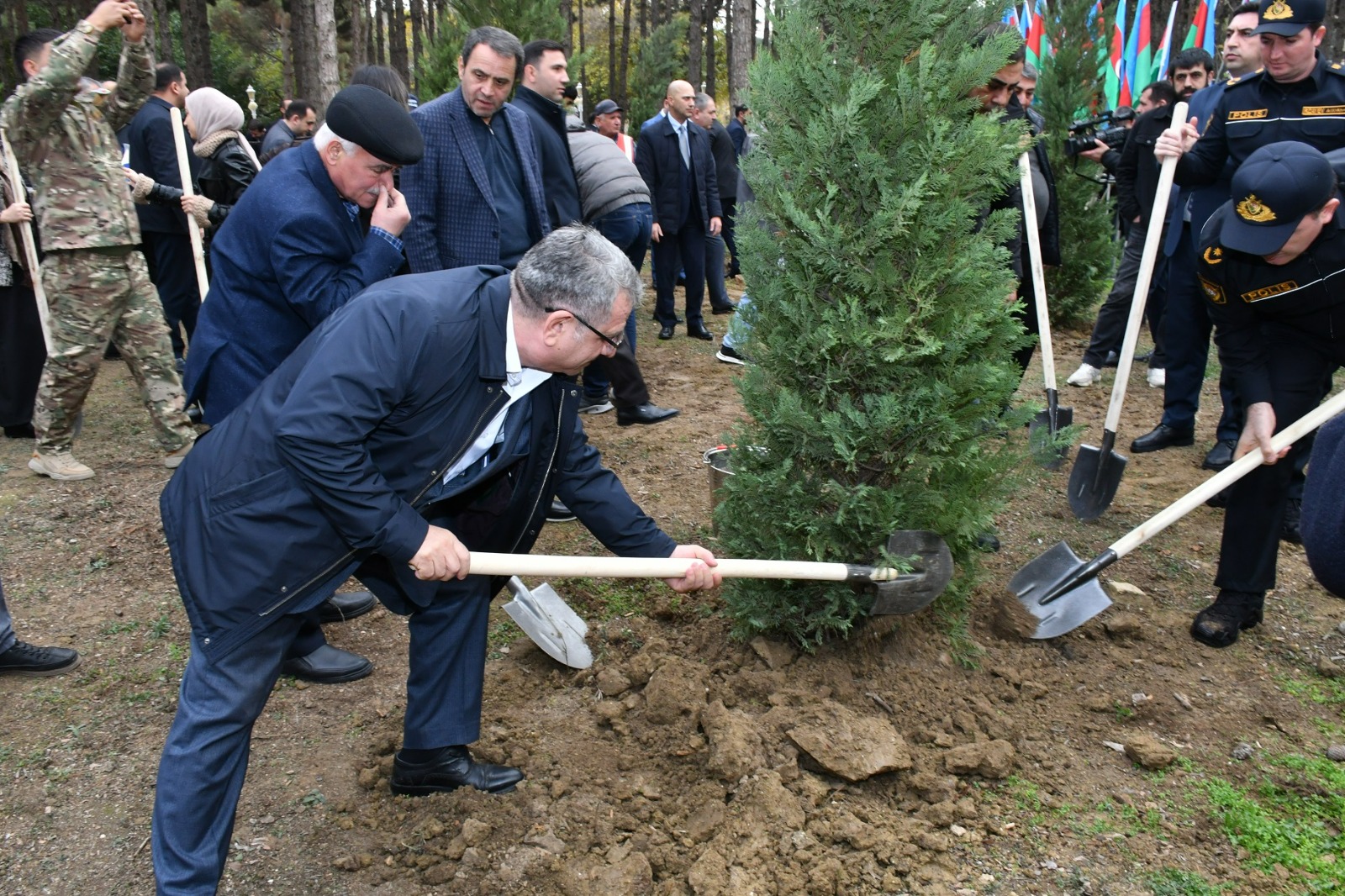 Abşeronda Zəfər Günü ilə əlaqədar ağacəkmə aksiyası keçirilib (FOTO)