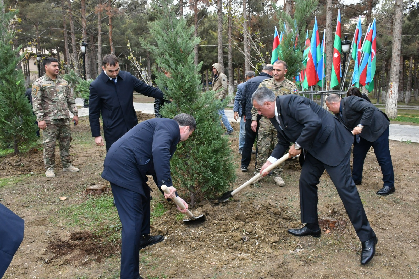 Abşeronda Zəfər Günü ilə əlaqədar ağacəkmə aksiyası keçirilib (FOTO)