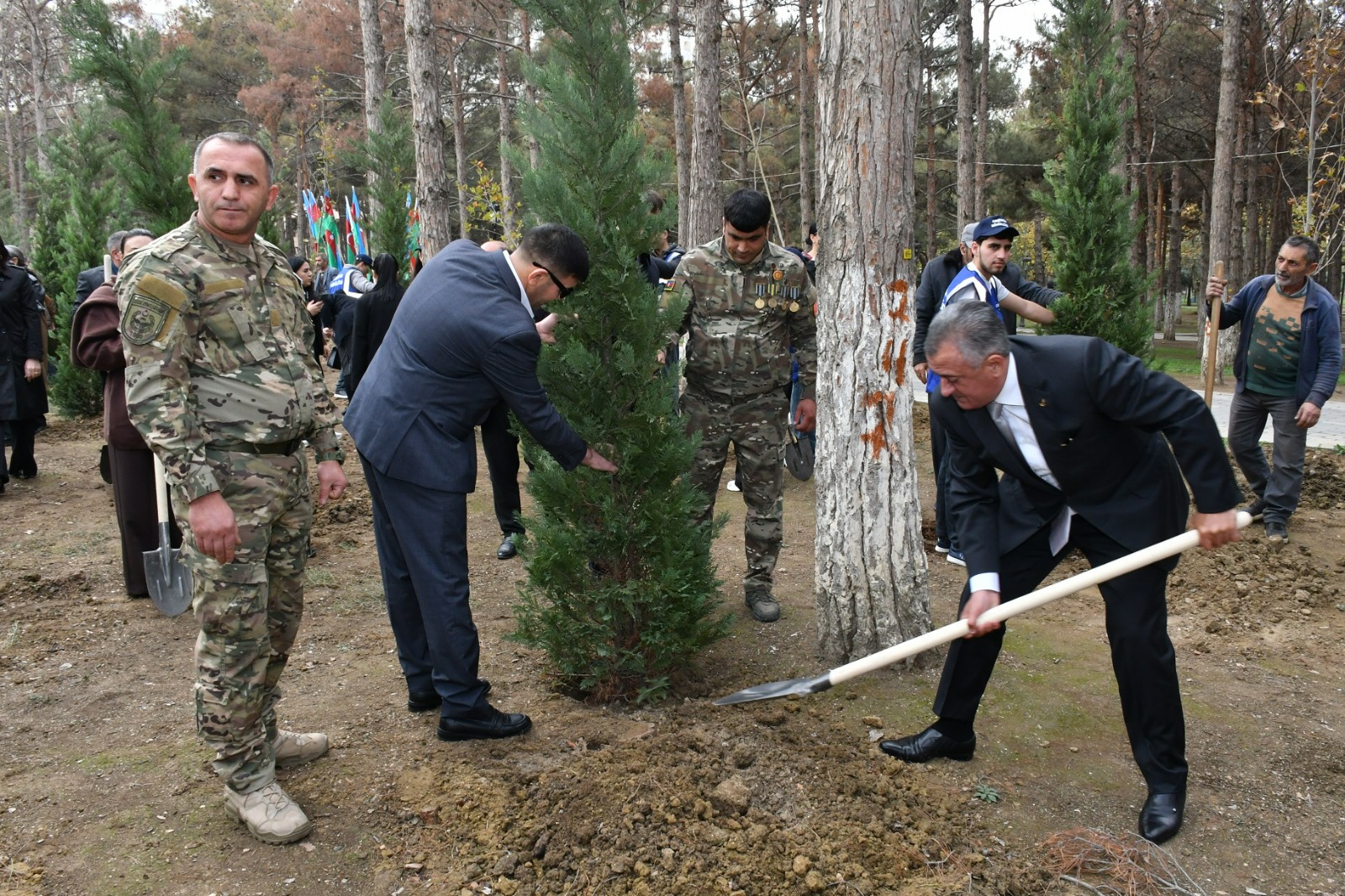 Abşeronda Zəfər Günü ilə əlaqədar ağacəkmə aksiyası keçirilib (FOTO)