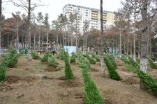 Abşeronda Zəfər Günü ilə əlaqədar ağacəkmə aksiyası keçirilib (FOTO)