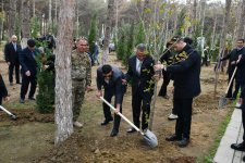 Abşeronda Zəfər Günü ilə əlaqədar ağacəkmə aksiyası keçirilib (FOTO)
