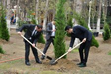 Abşeronda Zəfər Günü ilə əlaqədar ağacəkmə aksiyası keçirilib (FOTO)