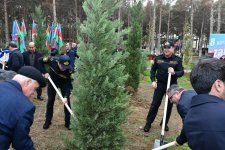 Abşeronda Zəfər Günü ilə əlaqədar ağacəkmə aksiyası keçirilib (FOTO)