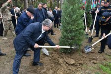Abşeronda Zəfər Günü ilə əlaqədar ağacəkmə aksiyası keçirilib (FOTO)