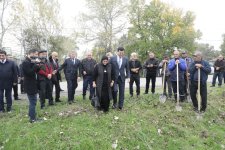 Xaçmazda Zəfər Günü münasibətilə kütləvi ağacəkmə aksiyası keçirilib (FOTO)