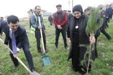Xaçmazda Zəfər Günü münasibətilə kütləvi ağacəkmə aksiyası keçirilib (FOTO)
