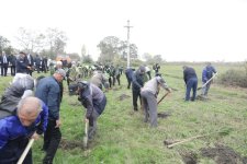 Xaçmazda Zəfər Günü münasibətilə kütləvi ağacəkmə aksiyası keçirilib (FOTO)