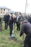Xaçmazda Zəfər Günü münasibətilə kütləvi ağacəkmə aksiyası keçirilib (FOTO)