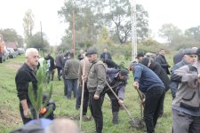 Xaçmazda Zəfər Günü münasibətilə kütləvi ağacəkmə aksiyası keçirilib (FOTO)