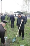 Xaçmazda Zəfər Günü münasibətilə kütləvi ağacəkmə aksiyası keçirilib (FOTO)