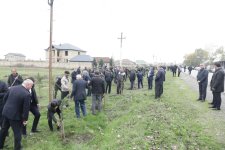 Xaçmazda Zəfər Günü münasibətilə kütləvi ağacəkmə aksiyası keçirilib (FOTO)