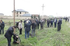 Xaçmazda Zəfər Günü münasibətilə kütləvi ağacəkmə aksiyası keçirilib (FOTO)