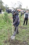 Xaçmazda Zəfər Günü münasibətilə kütləvi ağacəkmə aksiyası keçirilib (FOTO)